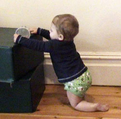 Infant 10m standing up 2.jpg