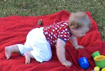 R 11m sit to crawl 5.jpg