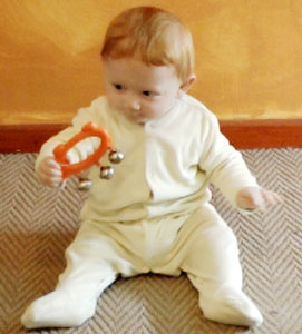 T shaking toy 2.jpg
